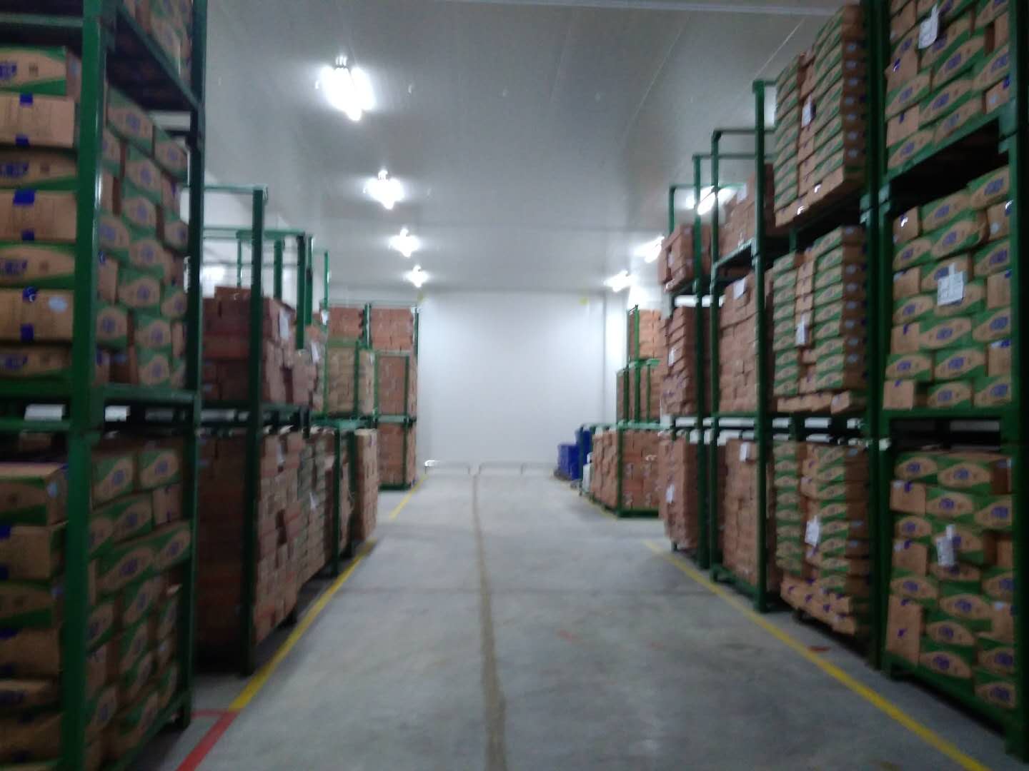 建設8500㎡陰涼物流低溫倉庫安裝配置方案費用是多少？